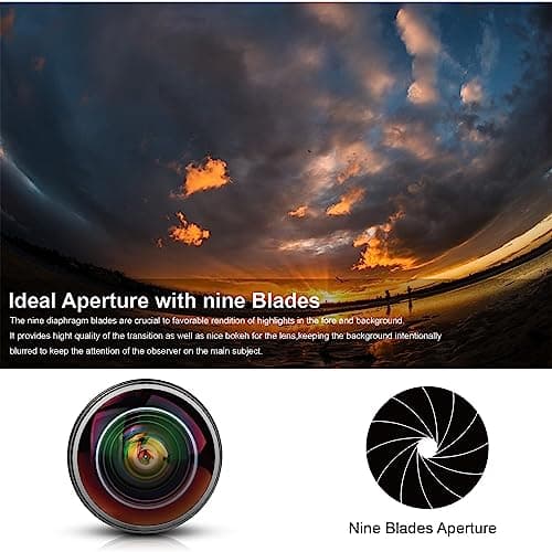 Meike 8mm f/3.5 Wide Angle Fisheye Lens for Canon DSLR Cameras with APS-C/Full Frame 6