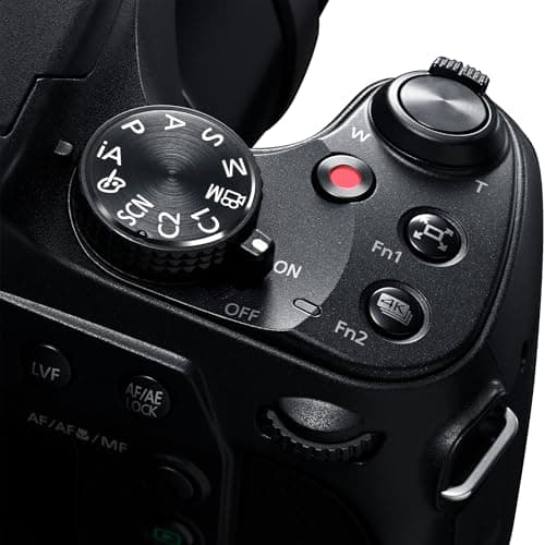 Panasonic LUMIX FZ80D Point and Shoot Digital Camera 4K Photo/Video Recording with Power Optical Image Stabilizer, Vlogging Camera with 60X Optical Zoom & 20-1200mm Wide-Angle Lens - DC-FZ80D 6